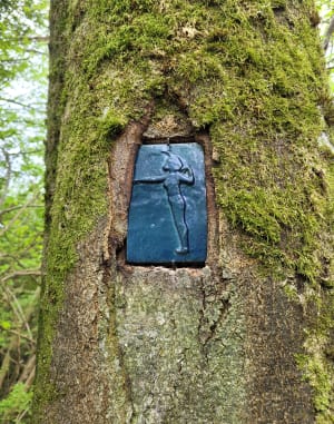 Belle balade en forêt de Dompcevrin - Dompcevrin - 11