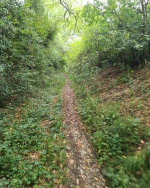 Le tour du Vicoin - Nuillé-sur-Vicoin - 7