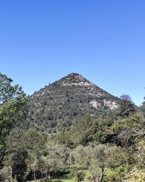Petit et gros Bessillon de Pontevès - Pontevès - 10
