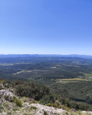 Petit et gros Bessillon de Pontevès - Pontevès - 11