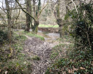 Le chemin de la biche - Elliant - 5