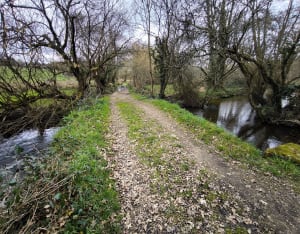 Le chemin de la biche - Elliant - 6