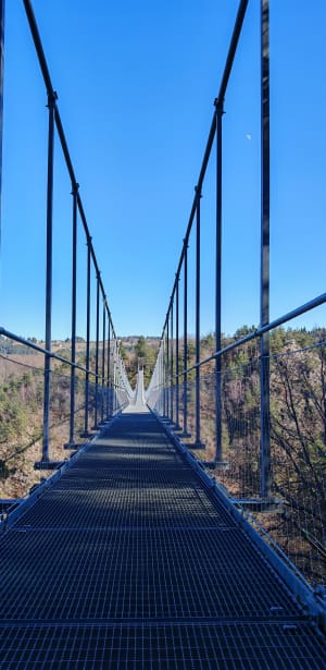Grande sortie à la passerelle des gorges du Lignon depuis Saint-Maurice-de-Lignon - Saint-Maurice-de-Lignon - 15