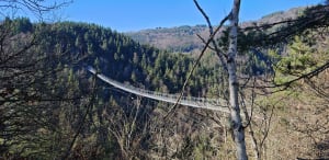 Grande sortie à la passerelle des gorges du Lignon depuis Saint-Maurice-de-Lignon - Saint-Maurice-de-Lignon - 16