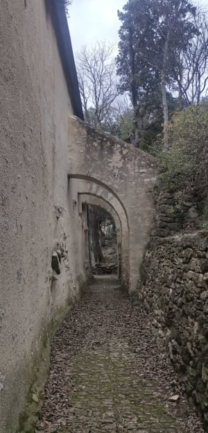 Balade autour de Beaumes de Venise - Beaumes-de-Venise - 20