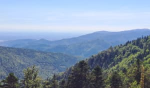 Tour du Petit Ballon et immersion au cœur d'une nature verdoyante - Gabriel - 14