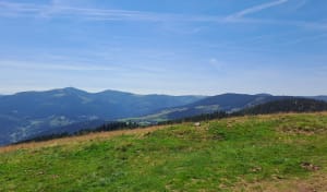 Tour du Petit Ballon et immersion au cœur d'une nature verdoyante - Gabriel - 17