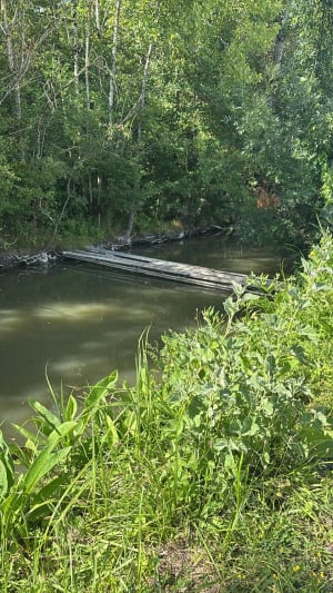 Marais du Langon - Jean-Philippe - 7