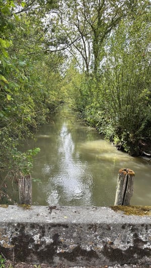 Marais du Langon - Jean-Philippe - 8