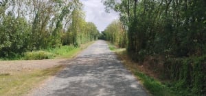 Marais du Langon - Jean-Philippe - 9