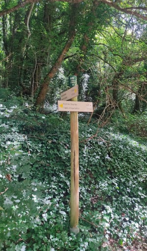 Cascade de Clairefontaine à Virieu-le-Grand - Virieu-le-Grand - 6