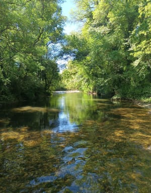 Balade entre sous-bois, champs de lavandes et vignes à Potelières - Potelières - 13