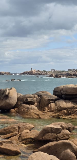 Trégastel et tour de l'île Renote - Trégastel - 109