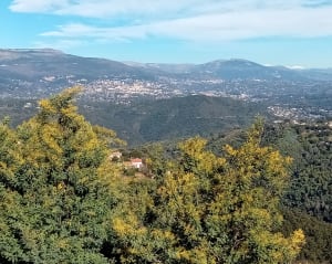 Village de Tanneron et douce autopsie du mimosa - Tanneron - 9