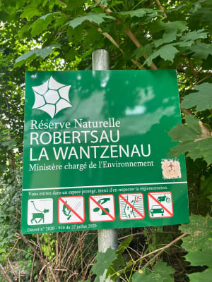 Balade au cœur de la forêt de la Robertsau. - Strasbourg - 2