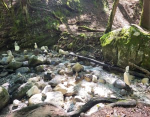 Angon, de Feeënbrug en de waterval - Angon - 138