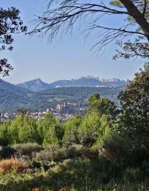 Les collines, la Chapelle et le lac du Paty - Caromb - 25