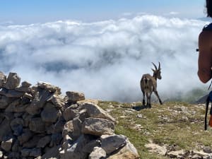 Gresse-en-Vercors en de klim naar de Grand Veymont - Gresse-en-Vercors - 34