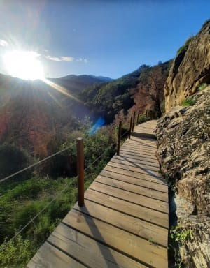Chemin des balcons de Céret - Céret - 28