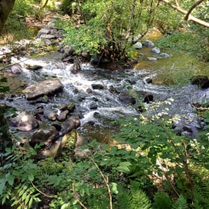 Rando nature sur le Sentier du Peuplier Blanc - Le Tablier - 9