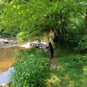 Rando nature sur le Sentier du Peuplier Blanc - Le Tablier - 10