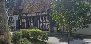 Fontaines-en-Sologne et circuit des étangs solognots - Fontaines-en-Sologne - 5
