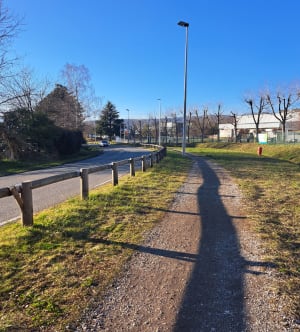 Boucle bois du Barioz - Annecy - 3