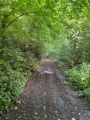 Boucle à Condé-sur-Risle - Condé-sur-Risle - 3