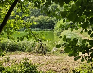 Balade Conchoise, avec le village des nains - Conches-en-Ouche - 3