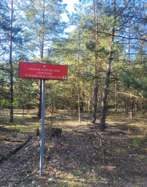 Rowerem wokół Pogorii 3 i 4 - Izabela - 7