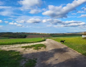 Bol d'air à Coulanges-la-Vineuse - Coulanges-la-Vineuse - 5