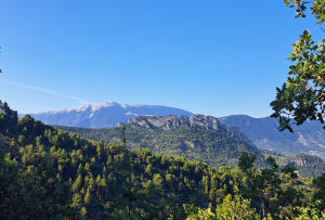 Tour de l'Aiguille par le sentier botanique - Buis-les-Baronnies - 12
