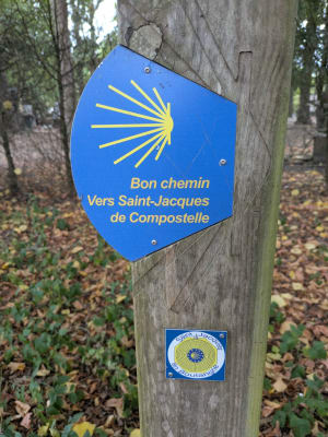 Boucle forêt domaniale Raismes Saint-Amand Wallers et terril - Raismes - 10