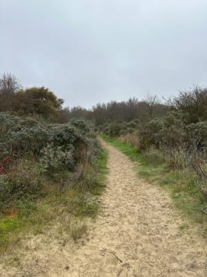 Balade sur la dune du Perroquet à Bray-Dunes - Bray-Dunes - 22