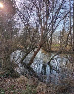 Plan d'eau Paisy Cosdon - Paisy Cosdon - 8
