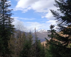 Cabane d'Ourtiga, sur les hauts de Loudenvielle - Loudenvielle - 21