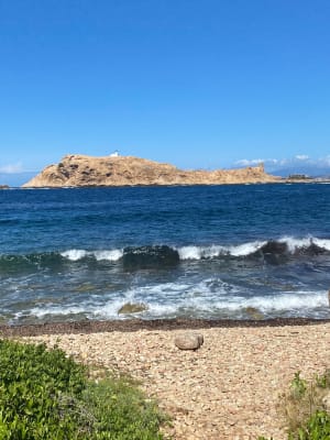 Balade d’Avril, ventée aux plages de Bodre et Ghjunchetu ️ - Corbara - 6