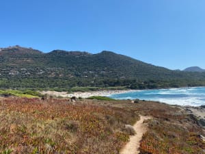 Balade d’Avril, ventée aux plages de Bodre et Ghjunchetu ️ - Corbara - 7
