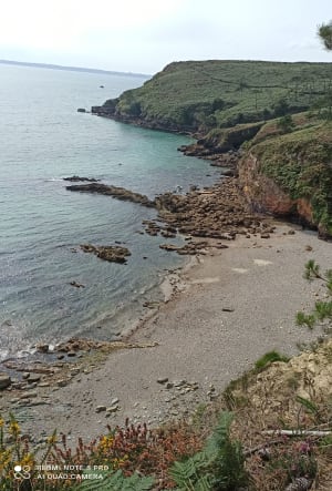 Section du GR34 de Crozon jusqu'au Cap de la Chèvre - Crozon - 24