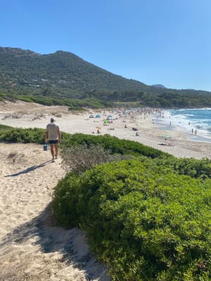 Balade d’Avril, ventée aux plages de Bodre et Ghjunchetu ️ - Corbara - 9