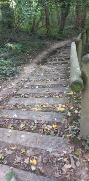 Wandel tussen de bossen en de Pinchonvalles-slakkenberg - Givenchy-en-Gohelle - 39
