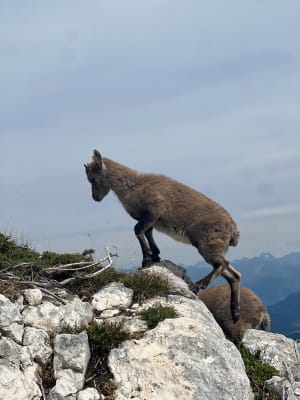 Le Grand Veymont - Saint-Agnan-en-Vercors - 3