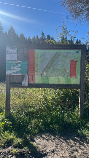 Randonnée entre forêt et alpage au Plateau du Retord - Priscila - 5