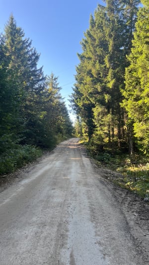Randonnée entre forêt et alpage au Plateau du Retord - Priscila - 6