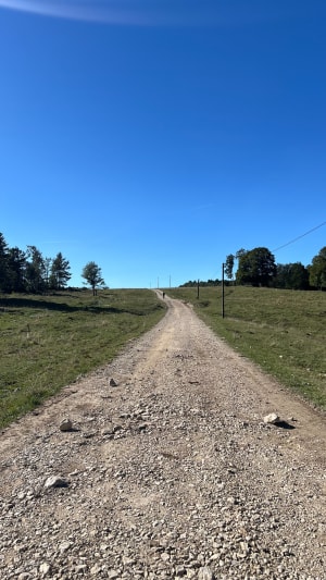 Randonnée entre forêt et alpage au Plateau du Retord - Priscila - 9