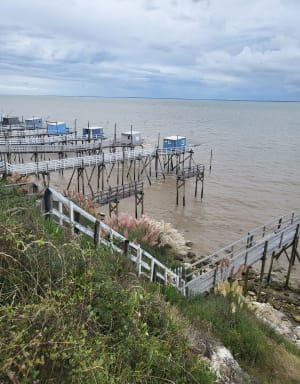 Talmont sur gironde Barzan Plage - Talmont-sur-Gironde - 14