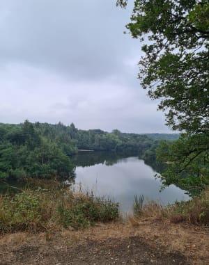 Petit circuit du Pont Noir - Ploufragan - 8