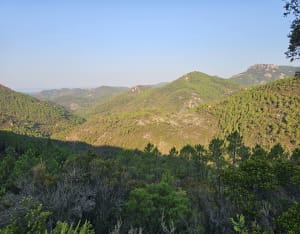 VTT dans l'Esterel vers le pic du Loup - Mandelieu-la-Napoule - 4