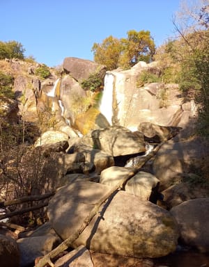 Entre Burlats et la cascade du saut de la truite - Burlats - 14