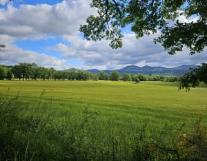 Balade argentée face au Château de Lavoûte-Polignac - Lavoûte-sur-Loire - 11